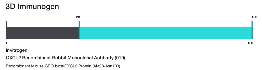 CXCL2 Recombinant Rabbit Monoclonal Antibody (019)