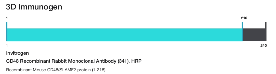 CD48 Recombinant Rabbit Monoclonal Antibody (341), HRP