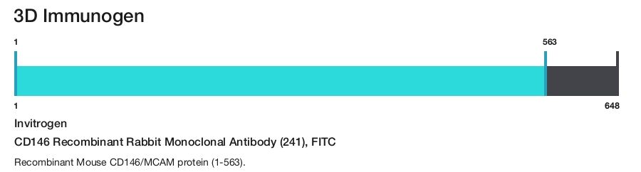 CD146 Recombinant Rabbit Monoclonal Antibody (241), FITC