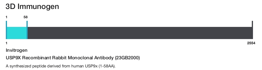 USP9X Recombinant Rabbit Monoclonal Antibody (23GB2000)