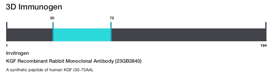 KGF Recombinant Rabbit Monoclonal Antibody (23GB3840)