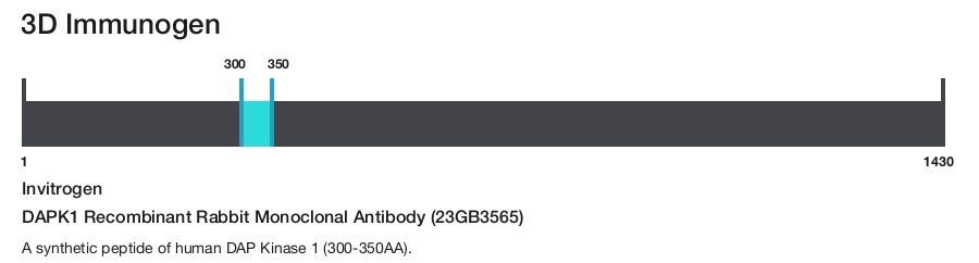 DAPK1 Recombinant Rabbit Monoclonal Antibody (23GB3565)