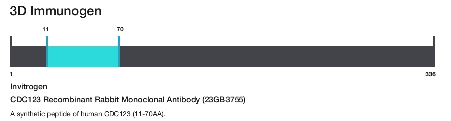 CDC123 Recombinant Rabbit Monoclonal Antibody (23GB3755)