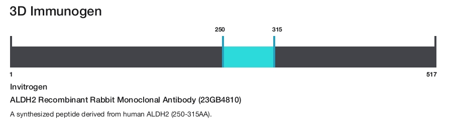ALDH2 Recombinant Rabbit Monoclonal Antibody (23GB4810)