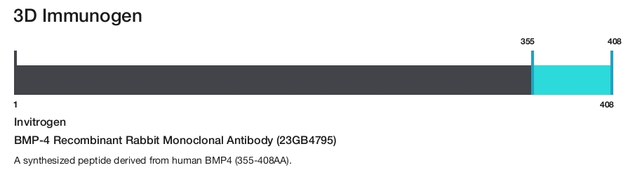BMP-4 Recombinant Rabbit Monoclonal Antibody (23GB4795)