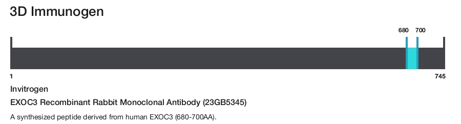 EXOC3 Recombinant Rabbit Monoclonal Antibody (23GB5345)