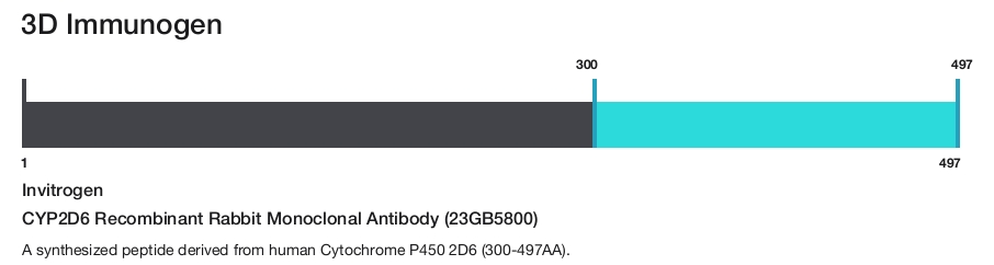 CYP2D6 Recombinant Rabbit Monoclonal Antibody (23GB5800)