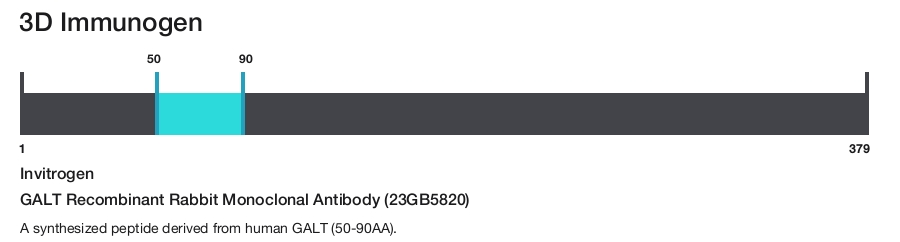 GALT Recombinant Rabbit Monoclonal Antibody (23GB5820)