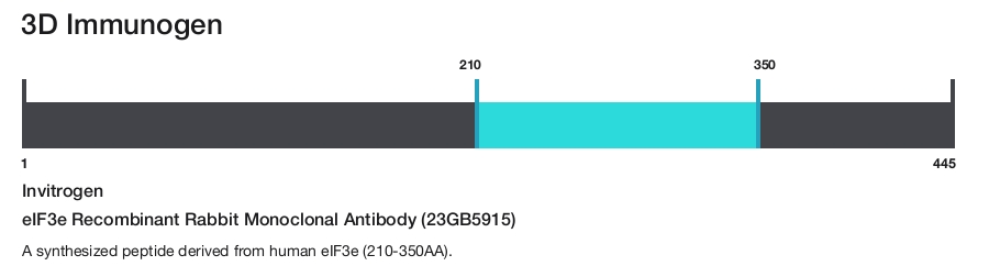 eIF3e Recombinant Rabbit Monoclonal Antibody (23GB5915)