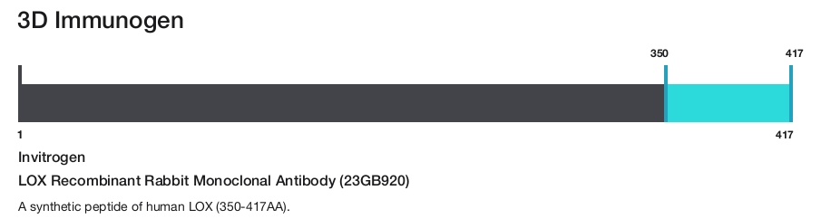 LOX Recombinant Rabbit Monoclonal Antibody (23GB920)