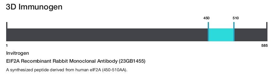 EIF2A Recombinant Rabbit Monoclonal Antibody (23GB1455)