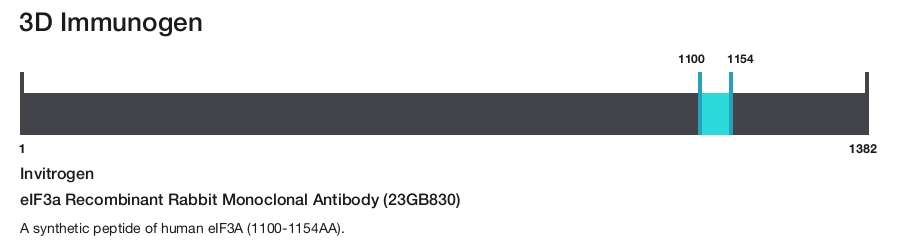 eIF3a Recombinant Rabbit Monoclonal Antibody (23GB830)
