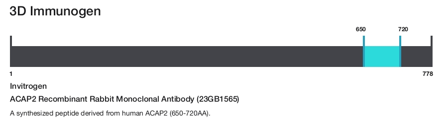 ACAP2 Recombinant Rabbit Monoclonal Antibody (23GB1565)
