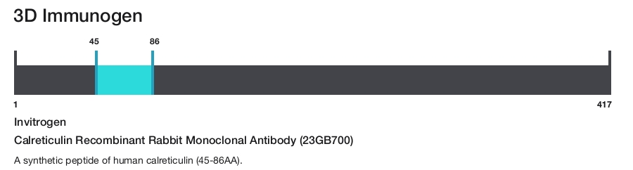 Calreticulin Recombinant Rabbit Monoclonal Antibody (23GB700)