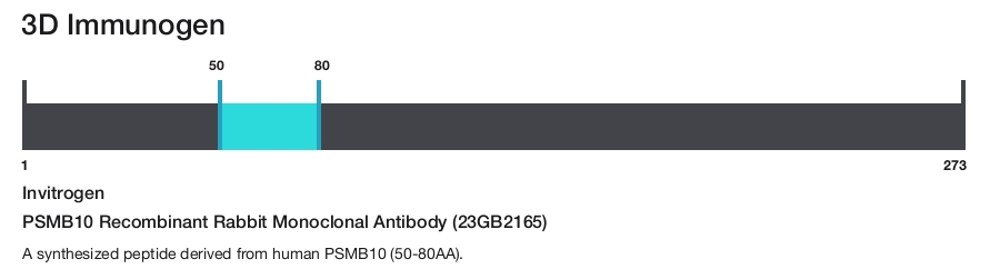 PSMB10 Recombinant Rabbit Monoclonal Antibody (23GB2165)