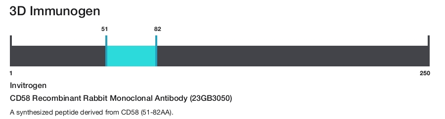 CD58 Recombinant Rabbit Monoclonal Antibody (23GB3050)