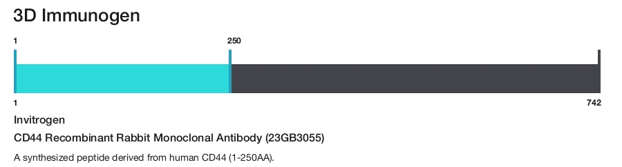 CD44 Recombinant Rabbit Monoclonal Antibody (23GB3055)