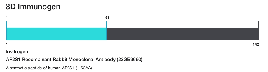 AP2S1 Recombinant Rabbit Monoclonal Antibody (23GB3660)