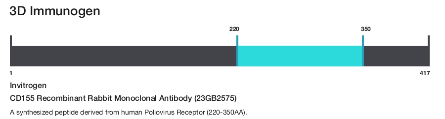 CD155 Recombinant Rabbit Monoclonal Antibody (23GB2575)