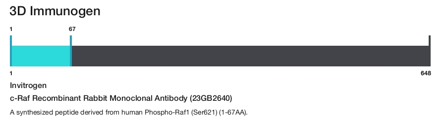 c-Raf Recombinant Rabbit Monoclonal Antibody (23GB2640)