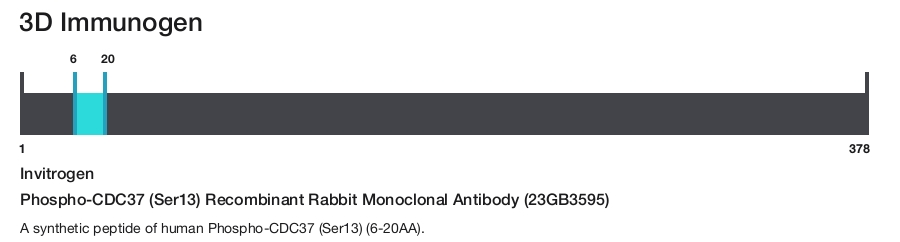 Phospho-CDC37 (Ser13) Recombinant Rabbit Monoclonal Antibody (23GB3595)