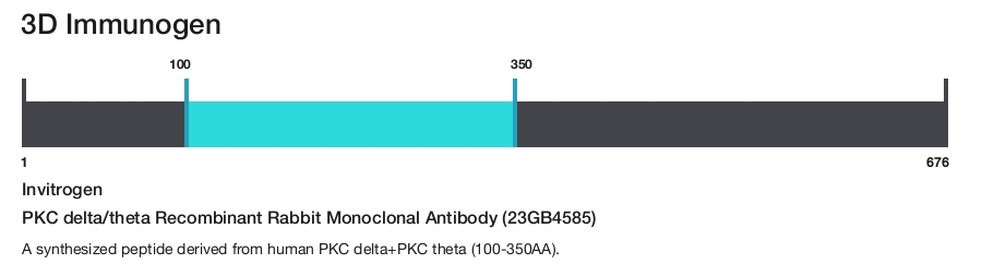 PKC delta/theta Recombinant Rabbit Monoclonal Antibody (23GB4585)
