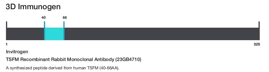 TSFM Recombinant Rabbit Monoclonal Antibody (23GB4710)