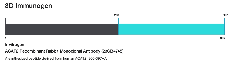 ACAT2 Recombinant Rabbit Monoclonal Antibody (23GB4745)