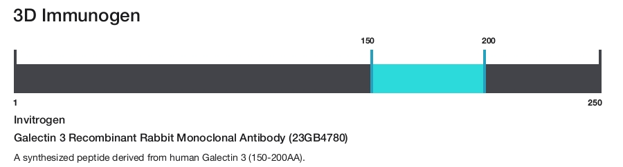 Galectin 3 Recombinant Rabbit Monoclonal Antibody (23GB4780)