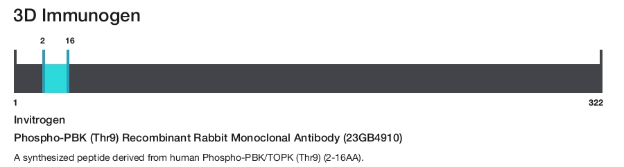 Phospho-PBK (Thr9) Recombinant Rabbit Monoclonal Antibody (23GB4910)