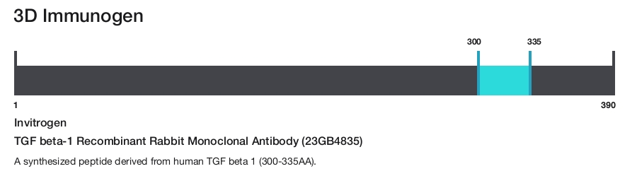 TGF beta-1 Recombinant Rabbit Monoclonal Antibody (23GB4835)