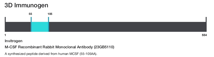 M-CSF Recombinant Rabbit Monoclonal Antibody (23GB5110)
