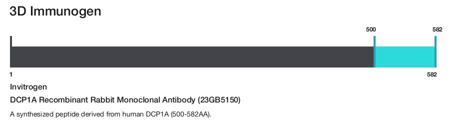 DCP1A Recombinant Rabbit Monoclonal Antibody (23GB5150)