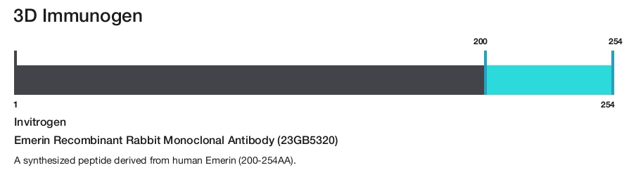 Emerin Recombinant Rabbit Monoclonal Antibody (23GB5320)