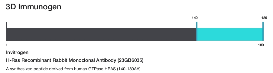 H-Ras Recombinant Rabbit Monoclonal Antibody (23GB6035)