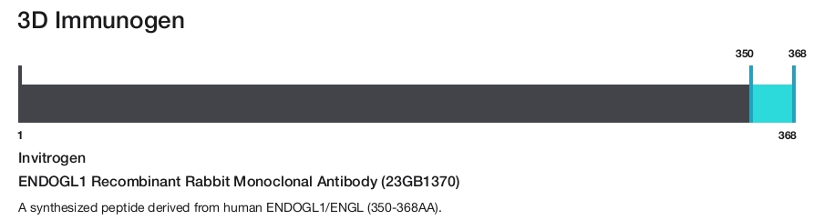 ENDOGL1 Recombinant Rabbit Monoclonal Antibody (23GB1370)