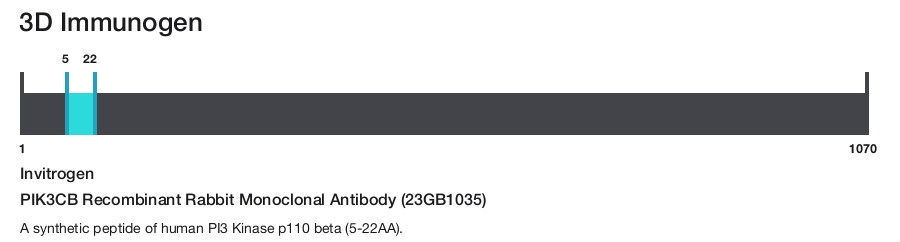 PIK3CB Recombinant Rabbit Monoclonal Antibody (23GB1035)