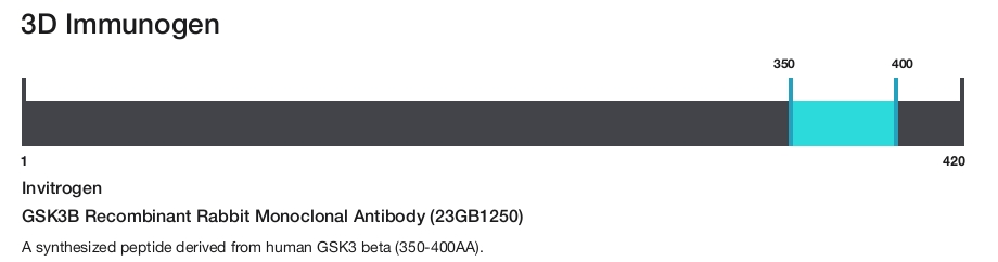 GSK3B Recombinant Rabbit Monoclonal Antibody (23GB1250)