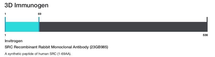 SRC Recombinant Rabbit Monoclonal Antibody (23GB985)