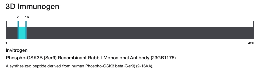 Phospho-GSK3B (Ser9) Recombinant Rabbit Monoclonal Antibody (23GB1175)
