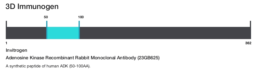 Adenosine Kinase Recombinant Rabbit Monoclonal Antibody (23GB625)