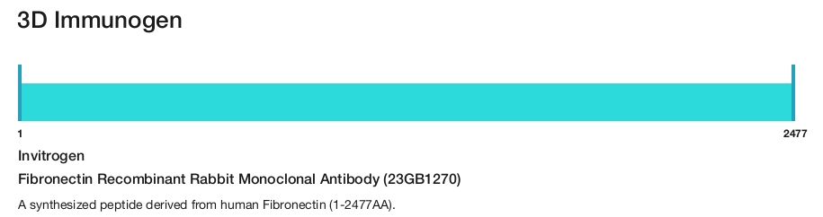 Fibronectin Recombinant Rabbit Monoclonal Antibody (23GB1270)