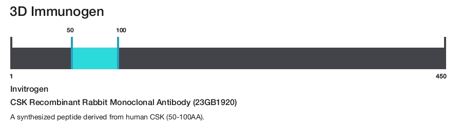 CSK Recombinant Rabbit Monoclonal Antibody (23GB1920)