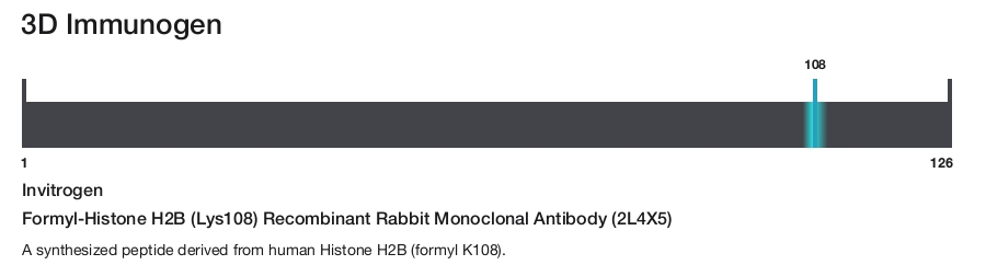 Formyl-Histone H2B (Lys108) Recombinant Rabbit Monoclonal Antibody (2L4X5)