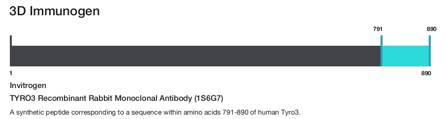 TYRO3 Recombinant Rabbit Monoclonal Antibody (1S6G7)