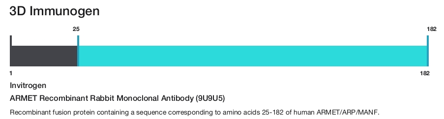 ARMET Recombinant Rabbit Monoclonal Antibody (9U9U5)