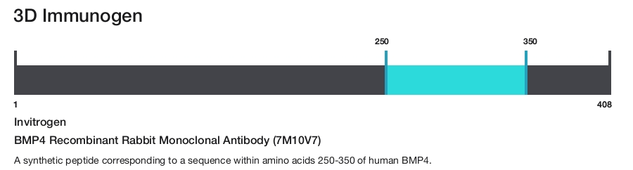 BMP4 Recombinant Rabbit Monoclonal Antibody (7M10V7)