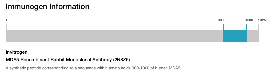 MDA5 Recombinant Rabbit Monoclonal Antibody (2N8Z5)