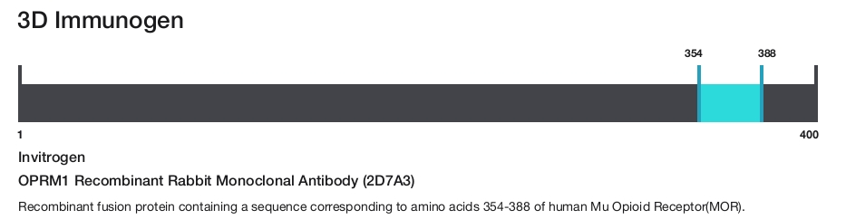 OPRM1 Recombinant Rabbit Monoclonal Antibody (2D7A3)