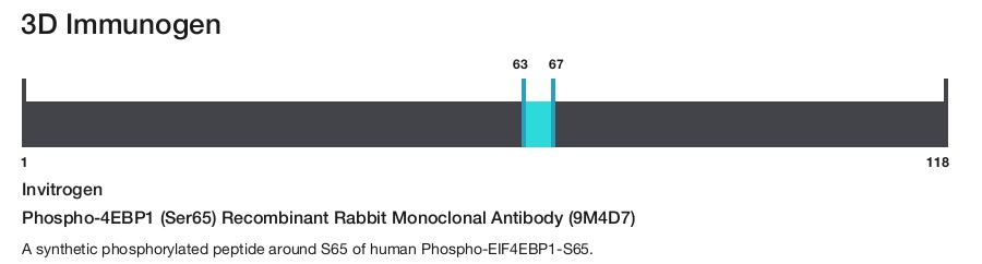 Phospho-4EBP1 (Ser65) Recombinant Rabbit Monoclonal Antibody (9M4D7)